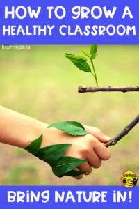 There are lots of studies that support the human connection with nature. How are you connecting your students to nature? This is a list of ideas that can help you grow a healthy classroom by bringing nature in and your students out into the fresh air.