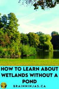 Are you trying to teach wetlands in Alberta but there isn't a nearby pond and you can't take a field trip? That's exactly why we wrote this series of lessons, activities and assessments. Come take a look to see if they can help you get your planning done so you can enjoy the activities along with your upper elementary science students.