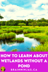Are you trying to teach wetlands in Alberta but there isn't a nearby pond and you can't take a field trip? That's exactly why we wrote this series of lessons, activities and assessments. Come take a look to see if they can help you get your planning done so you can enjoy the activities in your upper elementary classroom.