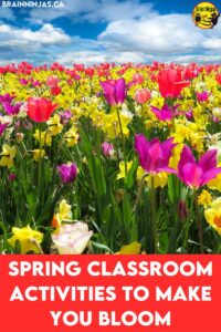 Spring is here and we have collected our favourite spring classroom activities to help you get through spring fever. Come read our list a get some ideas you can use right away.