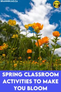 Spring is here and we have collected our favourite spring classroom activities to help you get through spring fever. Come read our list a get some ideas you can use right away.
