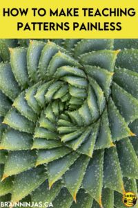 Patterns are everywhere! Use this set of activities and lessons to show your students where they can find patterns in nature, in math class and how patterns and math are connected. Come have a read and get your upper elementary patterns unit planned in minutes.