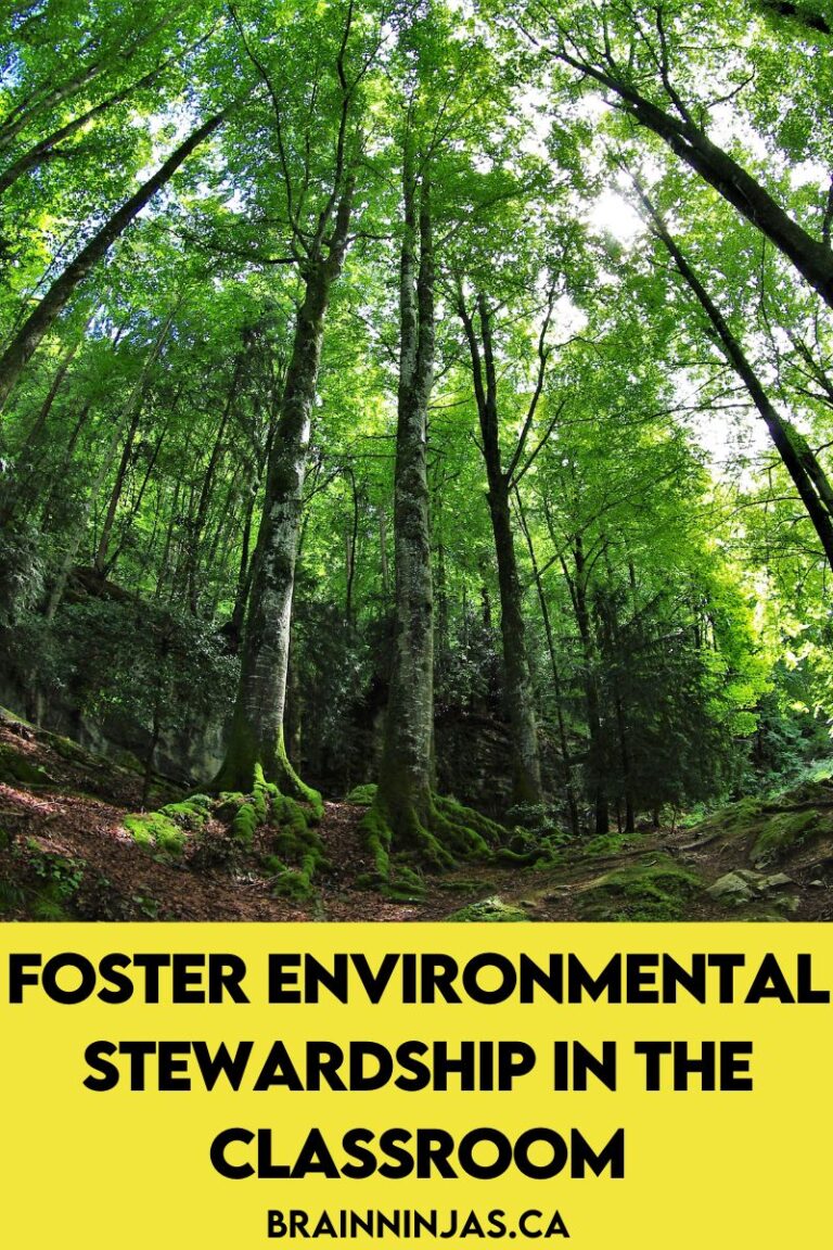 Foster Environmental Stewardship in the Classroom - Ninja Notes