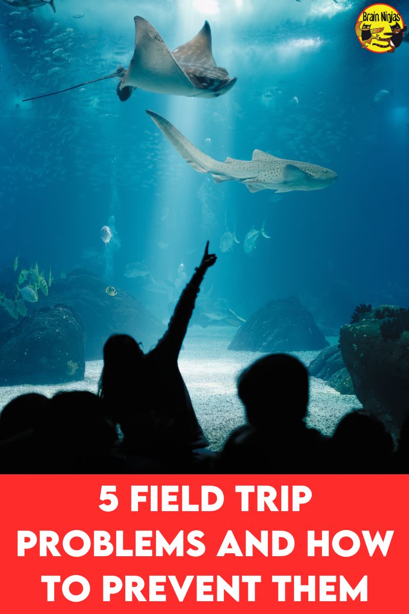 5 Field Trip Problems and How to Prevent Them - Ninja Notes