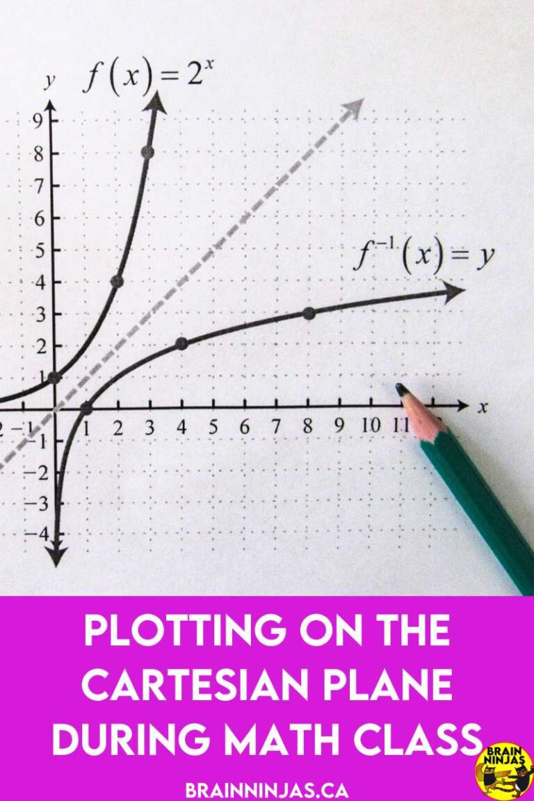 Plotting on the Cartesian Plane During Math Class - Ninja Notes
