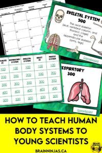 If you are teaching human body systems to your elementary science students, we've got everything you need to get your unit planned in record time. Come check out these activities, lessons, books, videos and so much more. It's perfect for the new Alberta science curriculum outcomes.