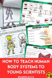 If you are teaching human body systems to your elementary science students, we've got everything you need to get your unit planned in record time. Come check out these activities, lessons, books, videos and so much more. It's perfect for the new Alberta science curriculum outcomes.