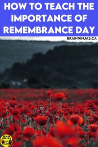 Teaching students about the history and importance of Remembrance Day continues to be part of the school curriculum. Come learn about some of the different ways we teach students the history while honouring those who have sacrificed their lives to keep Canadians safe and free.