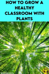 Are you looking for ways to bring plants into your class? You can include them in science, but you can also reap the benefits of nature in the classroom. Come take a look to see how you can grow a healthy classroom.