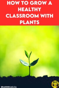 Are you looking for ways to bring plants into your class? You can include them in science, but you can also reap the benefits of nature in the classroom. Come take a look to see how you can grow a healthy classroom.