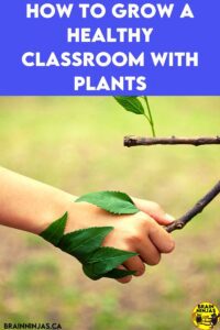 Are you looking for ways to bring plants into your class? You can include them in science, but you can also reap the benefits of nature in the classroom. Come take a look to see how you can grow a healthy classroom.