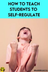 Do you need help teaching your students to self-regulate? Managing emotions can be a challenge for some students, but there are practical strategies that can help. Come read the whole post.