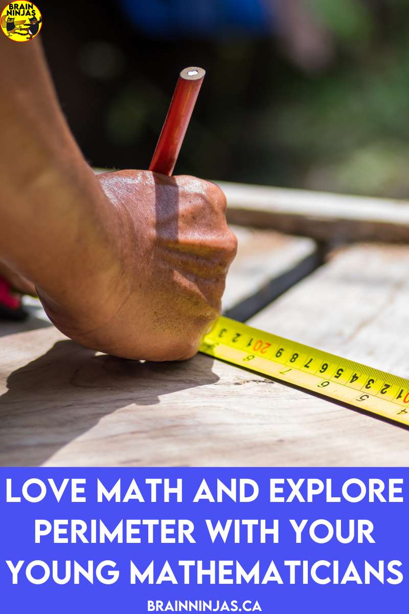 Perminator Math Love Math and Explore Perimeter With Your Young Mathematicians - Ninja ...