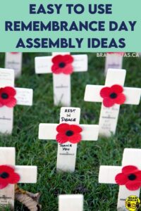 Get ideas for your next Remembrance Day assembly.